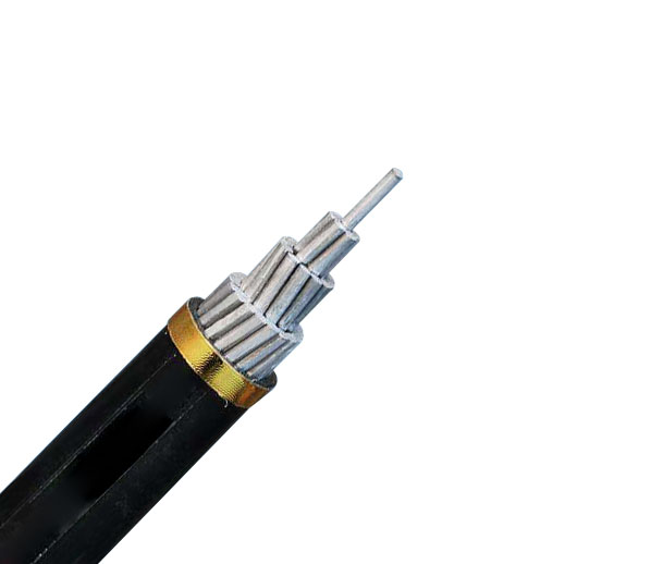 Aerial Insulated Cables with Rated Voltage  1kV or Lower