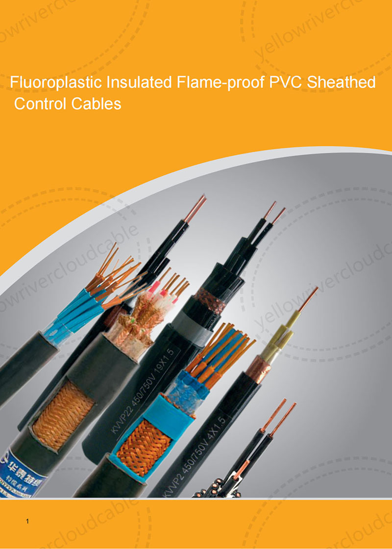 Fluoroplastic Insulated Flame-proof PVC Sheathed Control Cables,product display diagram.jpg