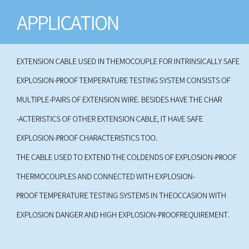 Exten Cables in Thermocouple in Intrinsically Safe Explosion-proof Measurement System 3